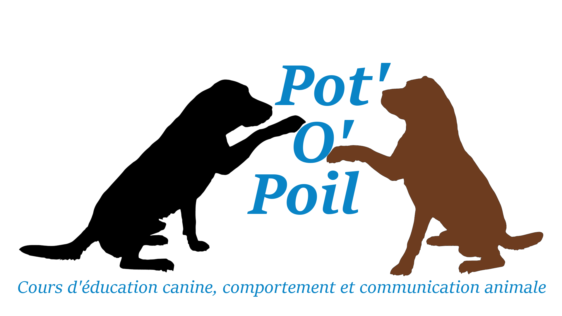 Pot'O'Poil – Cours d'éducation canine, comportement et communication animale